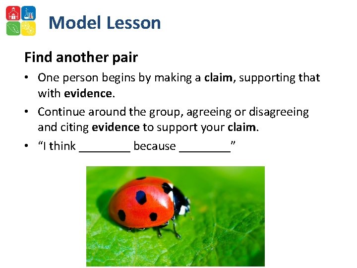 Model Lesson Find another pair • One person begins by making a claim, supporting