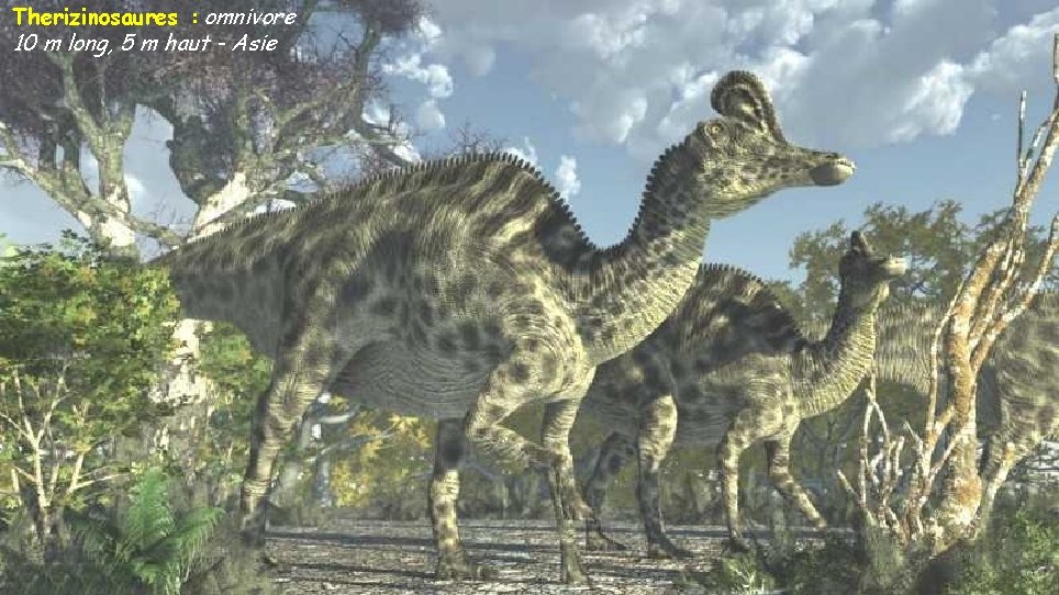 Therizinosaures : omnivore 10 m long, 5 m haut - Asie 