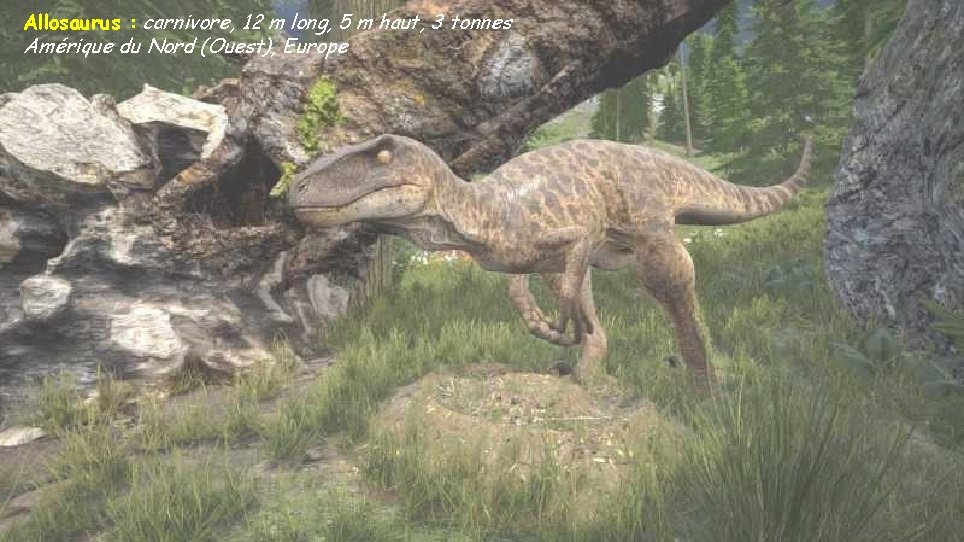 Allosaurus : carnivore, 12 m long, 5 m haut, 3 tonnes Amérique du Nord