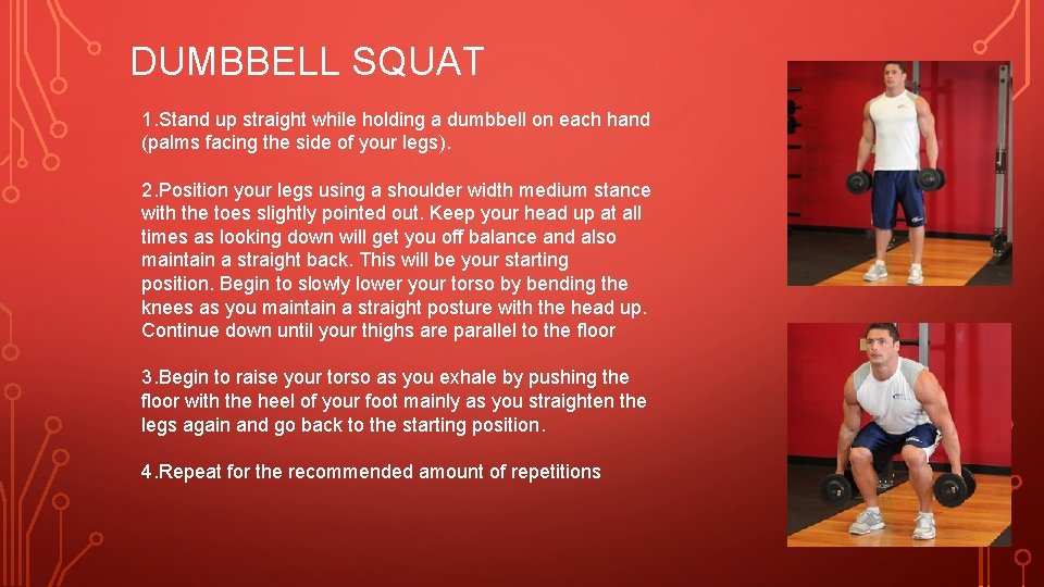 DUMBBELL SQUAT 1. Stand up straight while holding a dumbbell on each hand (palms