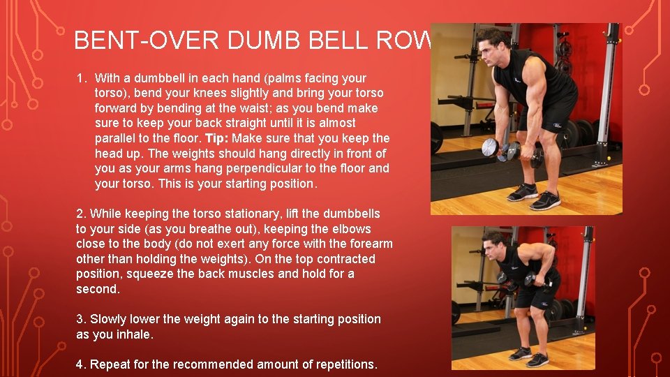 BENT-OVER DUMB BELL ROWS 1. With a dumbbell in each hand (palms facing your