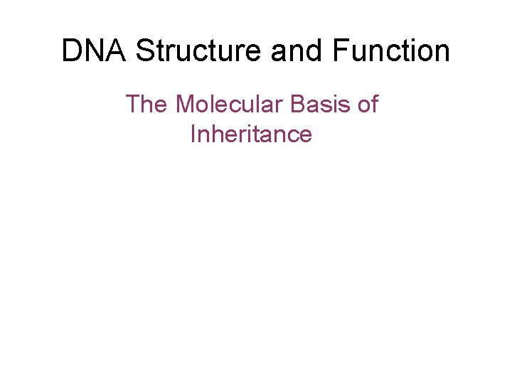 DNA Structure and Function The Molecular Basis of Inheritance 