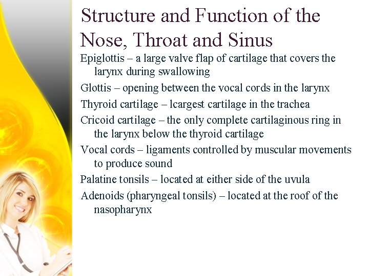 Structure and Function of the Nose, Throat and Sinus Epiglottis – a large valve