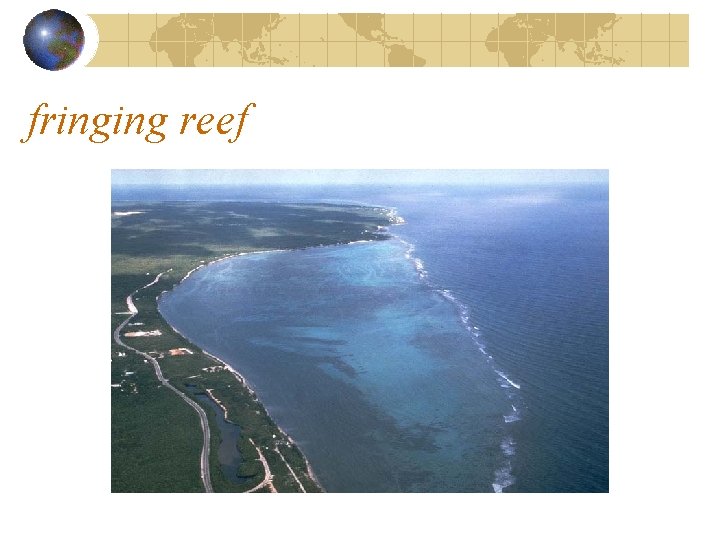 fringing reef 