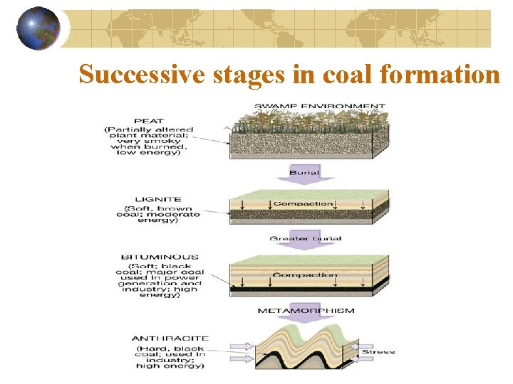 Successive stages in coal formation 