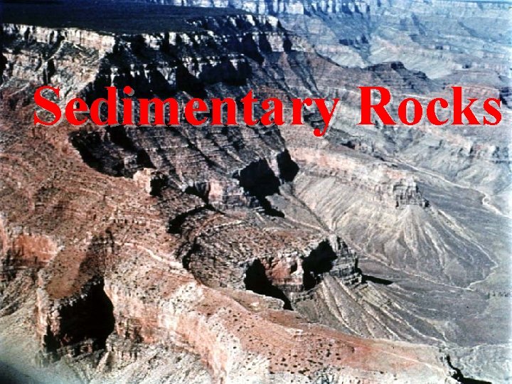 Sedimentary Rocks 