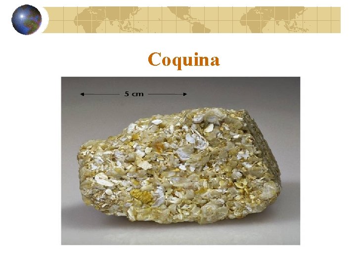 Coquina 