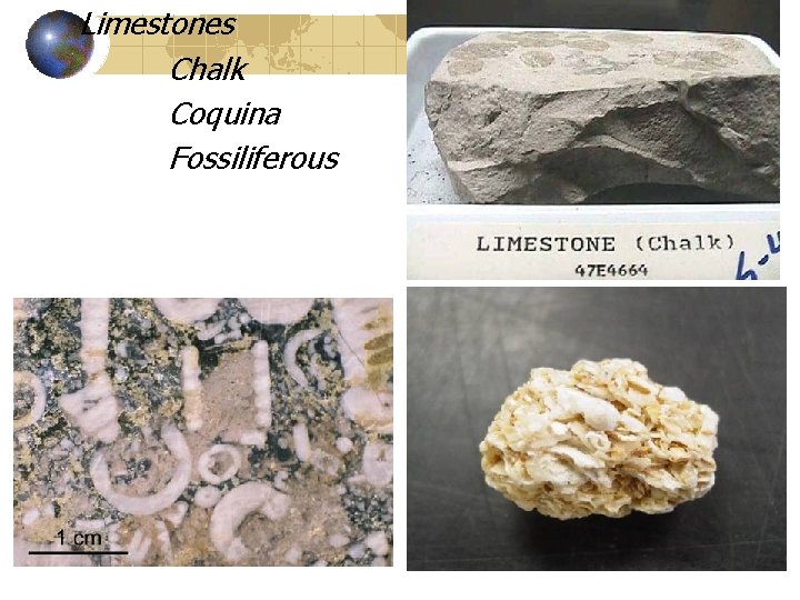 Limestones Chalk Coquina Fossiliferous 