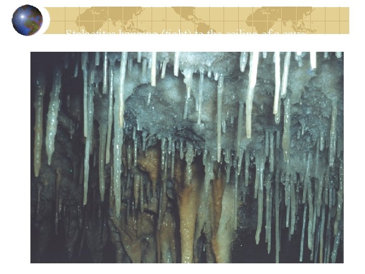 Stalactites hanging (tight) to the ceiling of a cave. 