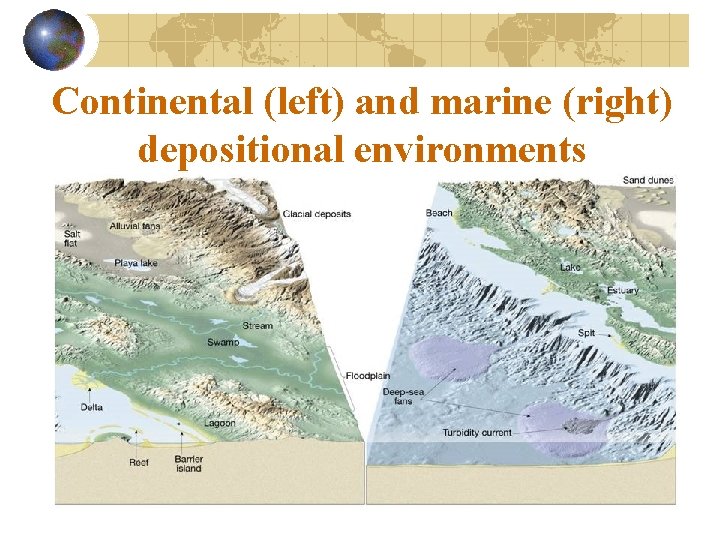 Continental (left) and marine (right) depositional environments 
