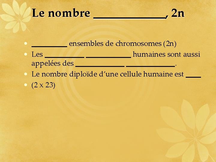 Le nombre , 2 n • ensembles de chromosomes (2 n) • Les humaines
