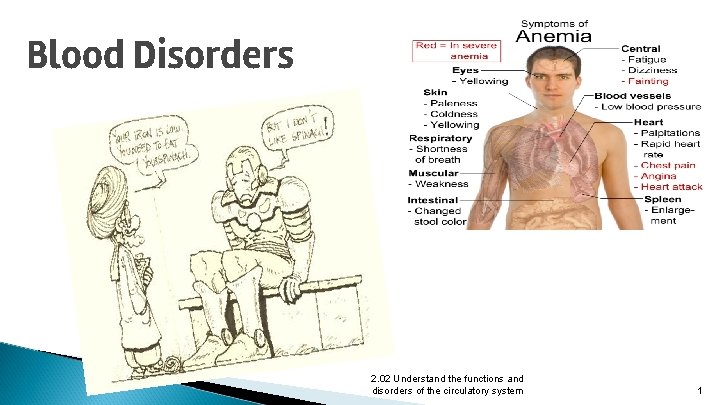 Blood Disorders 2. 02 Understand the functions and disorders of the circulatory system 1
