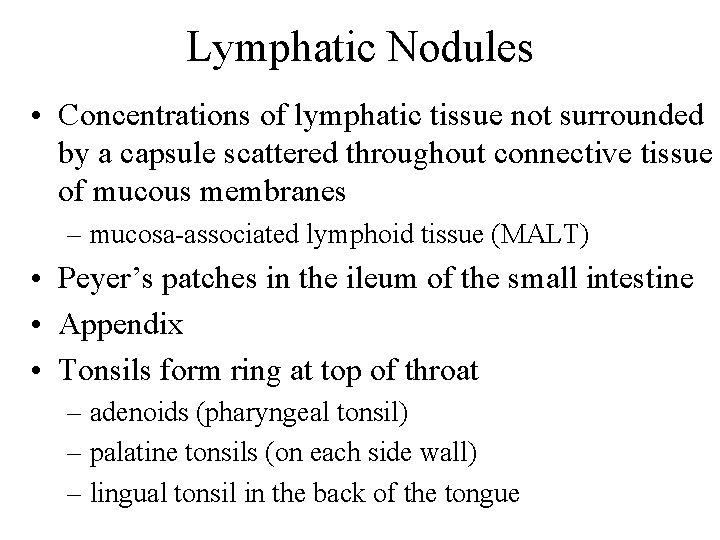 Lymphatic Nodules • Concentrations of lymphatic tissue not surrounded by a capsule scattered throughout