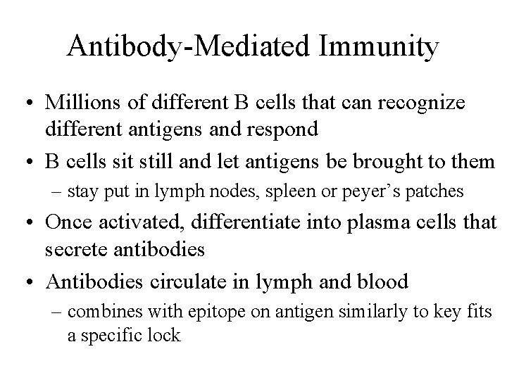 Antibody-Mediated Immunity • Millions of different B cells that can recognize different antigens and