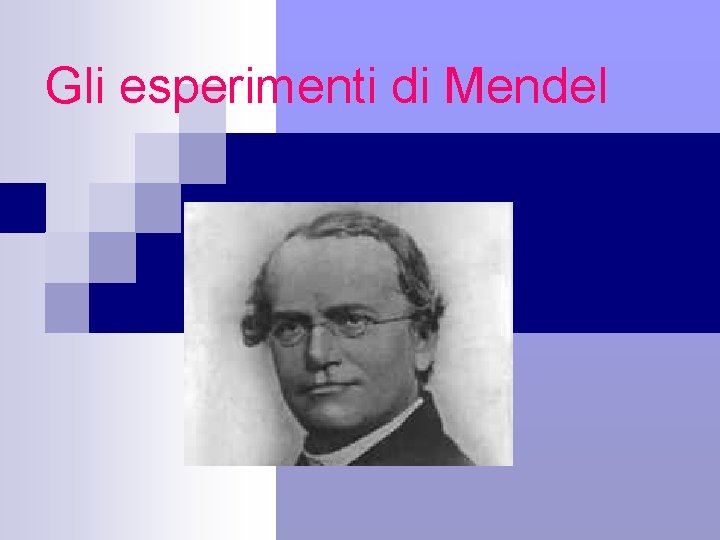 Gli esperimenti di Mendel 