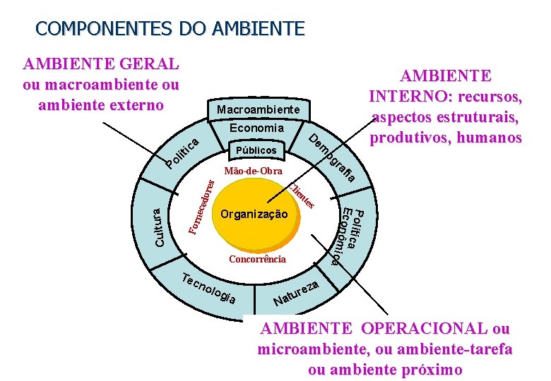 COMPONENTES DO AMBIENTE GERAL ou macroambiente ou ambiente externo AMBIENTE INTERNO: recursos, aspectos estruturais,