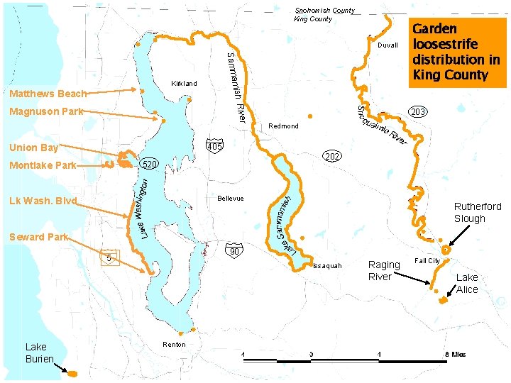 Snohomish County King County Duvall amish Samm Kirkland Matthews Beach River Magnuson Park Union