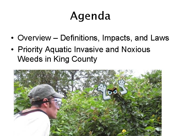 Agenda • Overview – Definitions, Impacts, and Laws • Priority Aquatic Invasive and Noxious