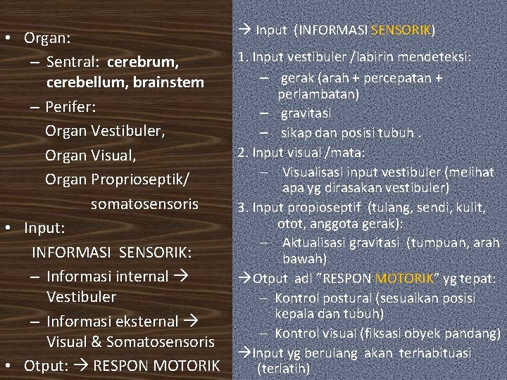  • Organ: – Sentral: cerebrum, cerebellum, brainstem – Perifer: Organ Vestibuler, Organ Visual,