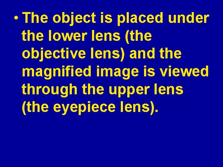  • The object is placed under the lower lens (the objective lens) and