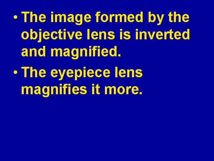  • The image formed by the objective lens is inverted and magnified. •