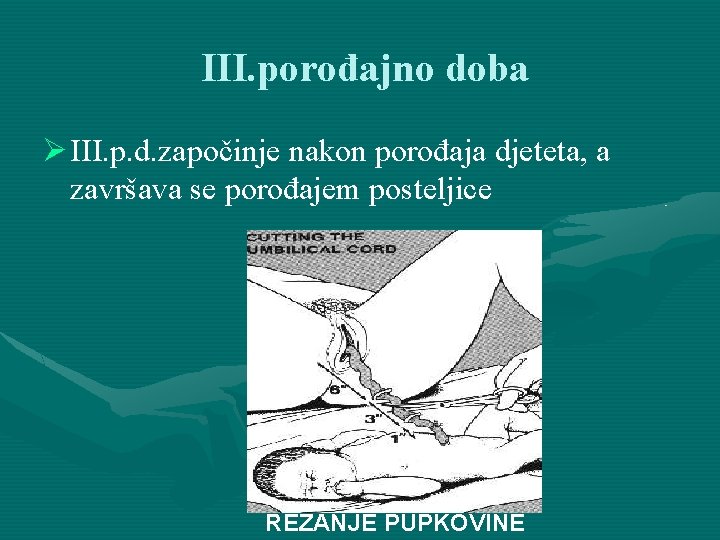 III. porođajno doba Ø III. p. d. započinje nakon porođaja djeteta, a završava se