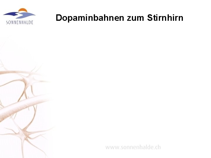 Dopaminbahnen zum Stirnhirn 