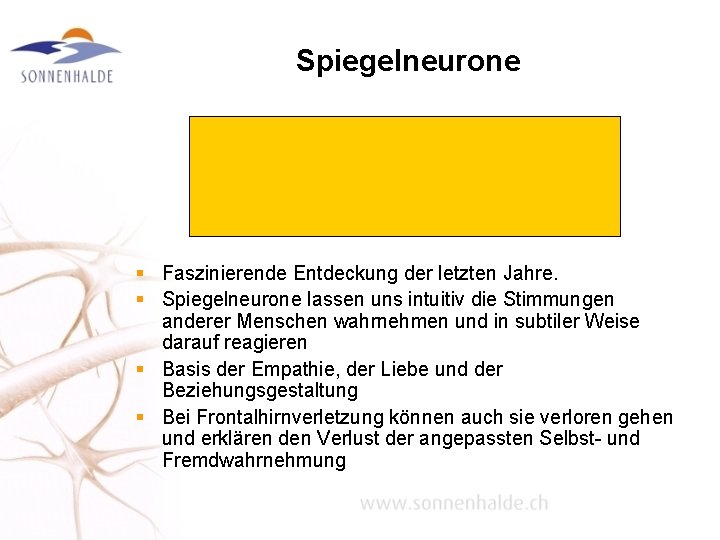 Spiegelneurone § Faszinierende Entdeckung der letzten Jahre. § Spiegelneurone lassen uns intuitiv die Stimmungen