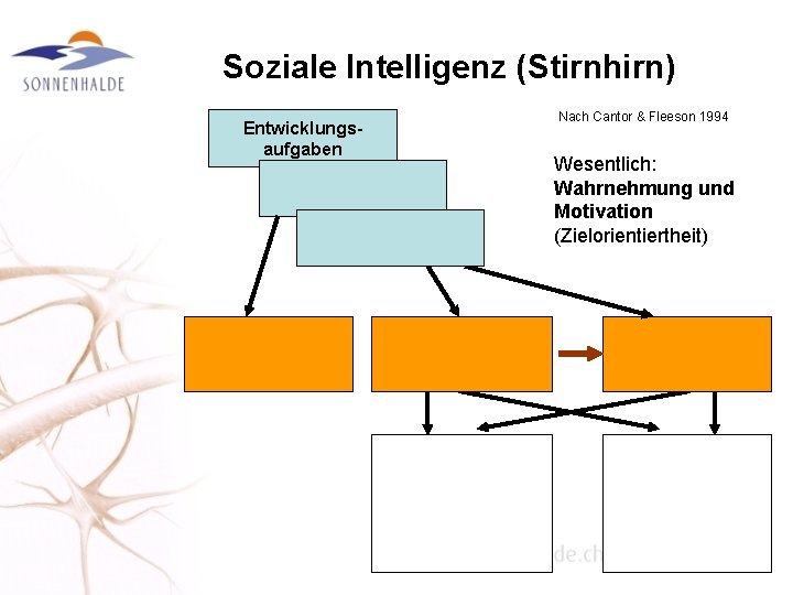 Soziale Intelligenz (Stirnhirn) Entwicklungsaufgaben Nach Cantor & Fleeson 1994 Wesentlich: Wahrnehmung und Motivation (Zielorientiertheit)