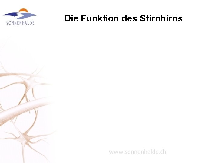 Die Funktion des Stirnhirns 