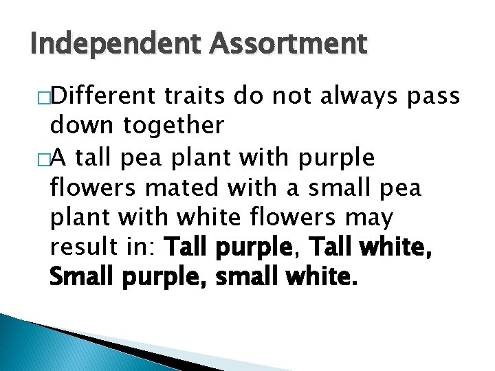 Independent Assortment �Different traits do not always pass down together �A tall pea plant Independent Assortment �Different traits do not always pass down together �A tall pea plant