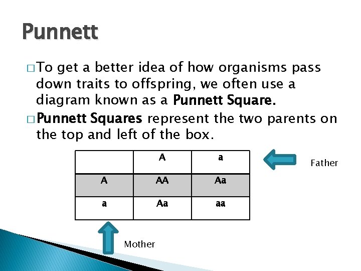 Punnett � To get a better idea of how organisms pass down traits to Punnett � To get a better idea of how organisms pass down traits to