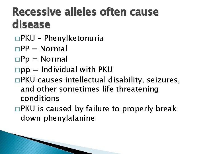 Recessive alleles often cause disease � PKU – Phenylketonuria � PP = Normal � Recessive alleles often cause disease � PKU – Phenylketonuria � PP = Normal �