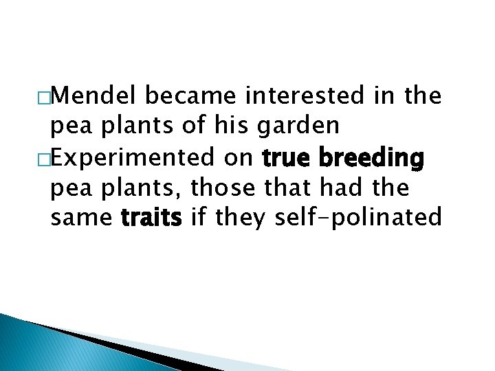 �Mendel became interested in the pea plants of his garden �Experimented on true breeding �Mendel became interested in the pea plants of his garden �Experimented on true breeding