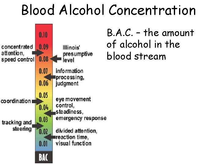 Blood Alcohol Concentration B. A. C. – the amount of alcohol in the blood