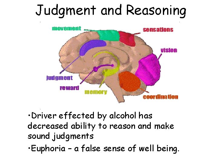 Judgment and Reasoning • Driver effected by alcohol has decreased ability to reason and