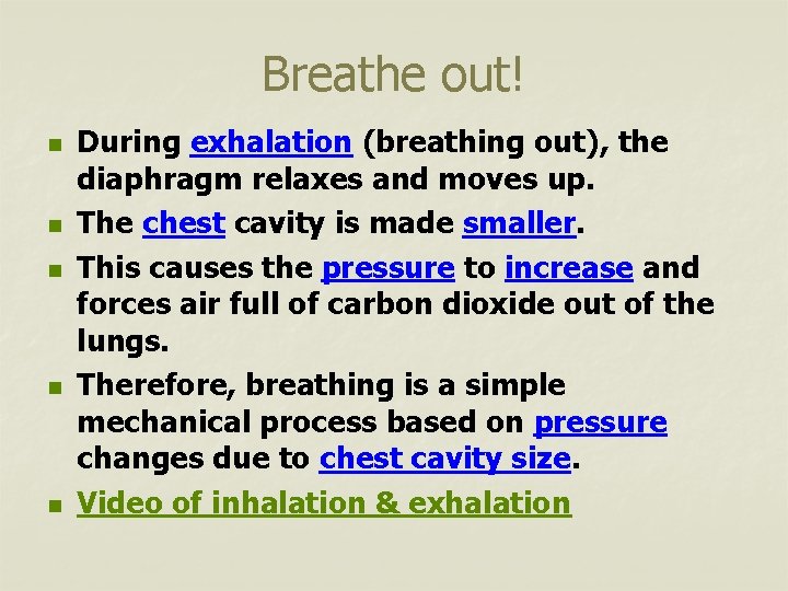 Breathe out! n n n During exhalation (breathing out), the diaphragm relaxes and moves