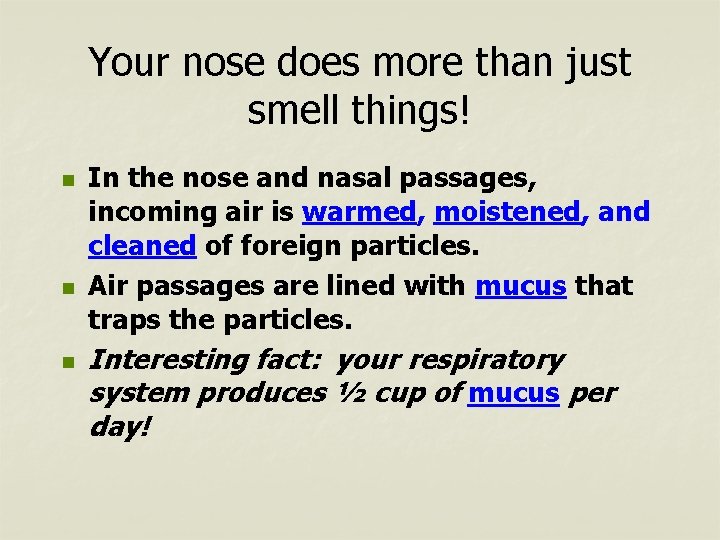 Your nose does more than just smell things! n n n In the nose