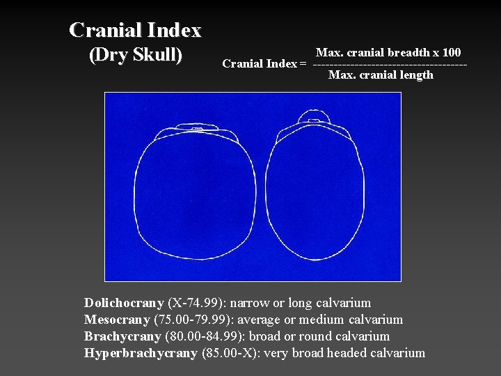 Cranial Index (Dry Skull) Max. cranial breadth x 100 Cranial Index = ------------------Max. cranial