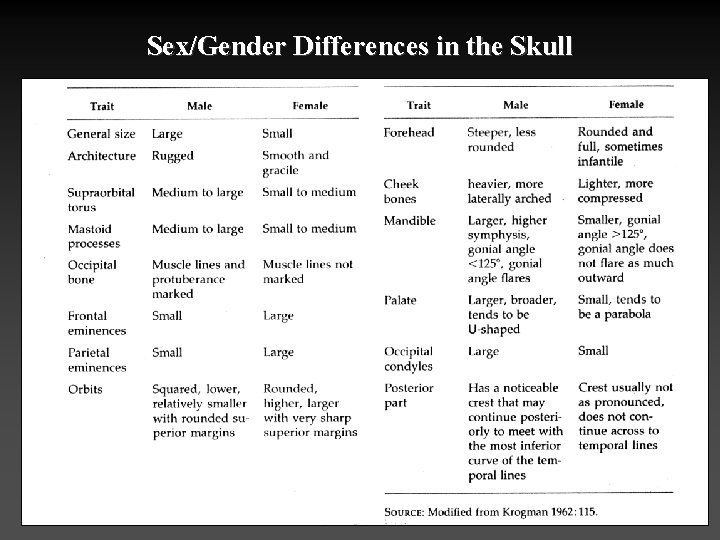 Sex/Gender Differences in the Skull 