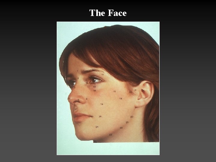 The Face 