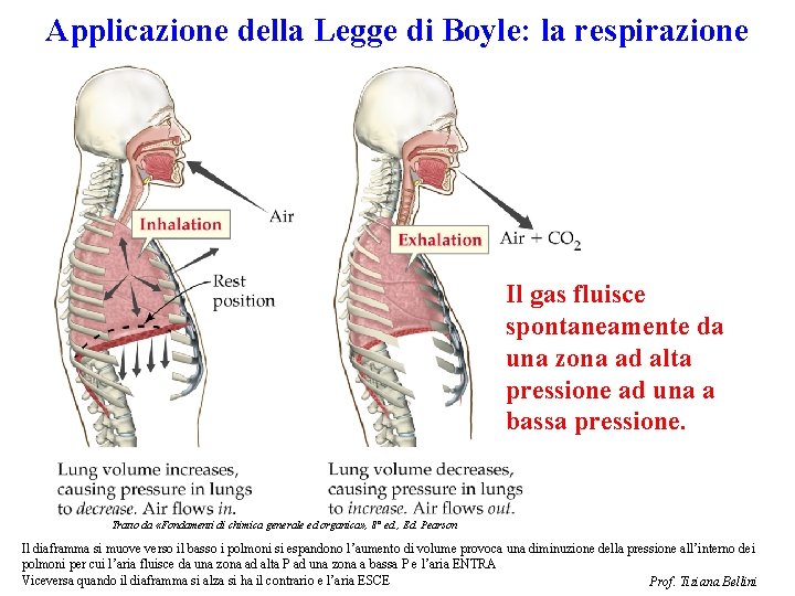 Applicazione della Legge di Boyle: la respirazione Il gas fluisce spontaneamente da una zona