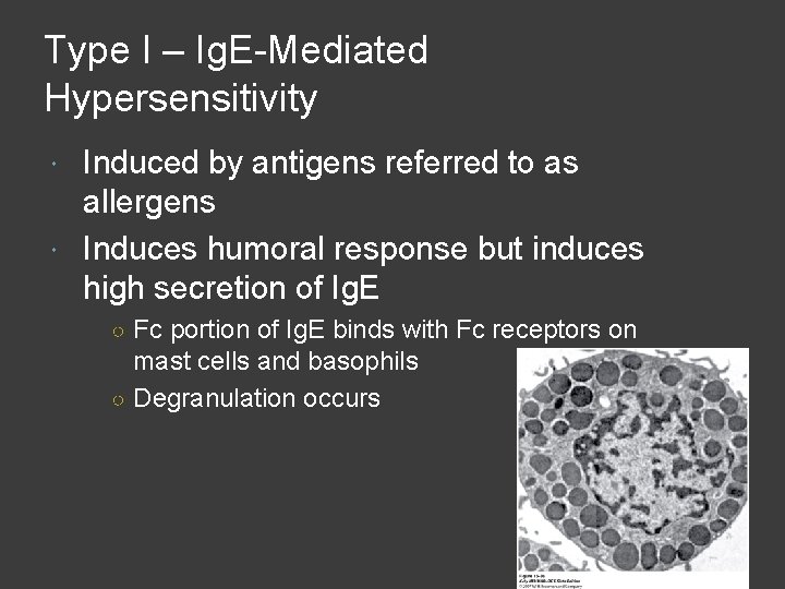 Type I – Ig. E-Mediated Hypersensitivity Induced by antigens referred to as allergens Induces