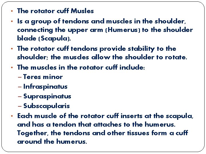  • The rotator cuff Musles • Is a group of tendons and muscles