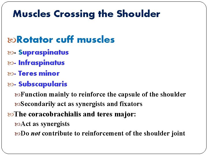 Muscles Crossing the Shoulder Rotator cuff muscles - Supraspinatus - Infraspinatus - Teres minor