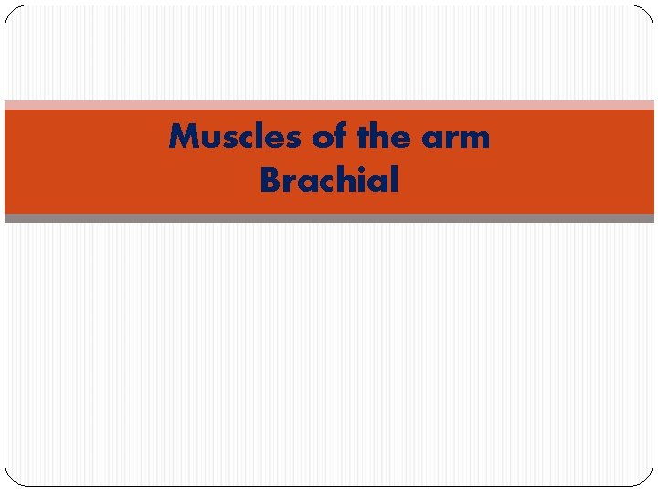 Muscles of the arm Brachial 