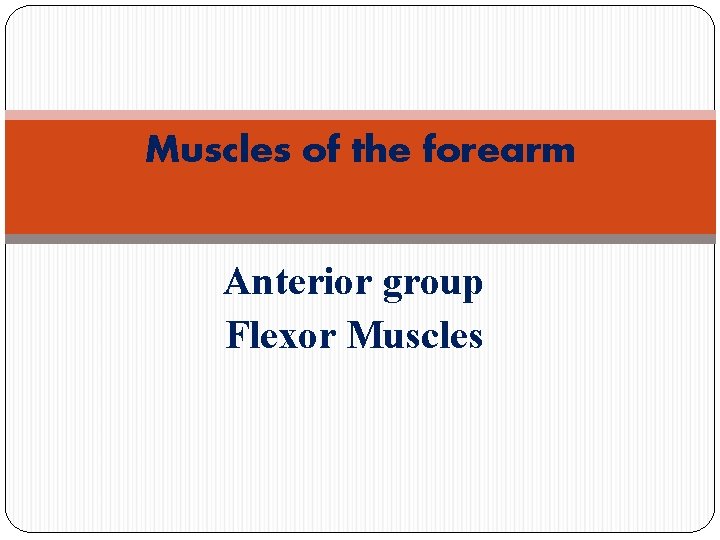 Muscles of the forearm Anterior group Flexor Muscles 