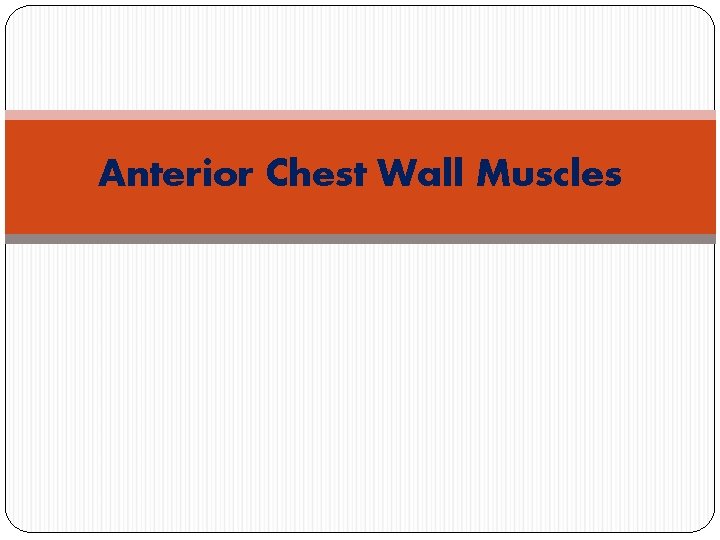 Anterior Chest Wall Muscles 
