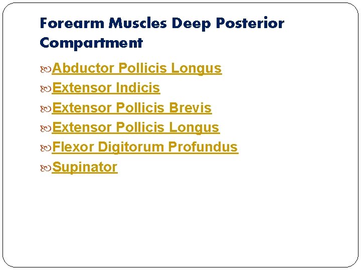 Forearm Muscles Deep Posterior Compartment Abductor Pollicis Longus Extensor Indicis Extensor Pollicis Brevis Extensor