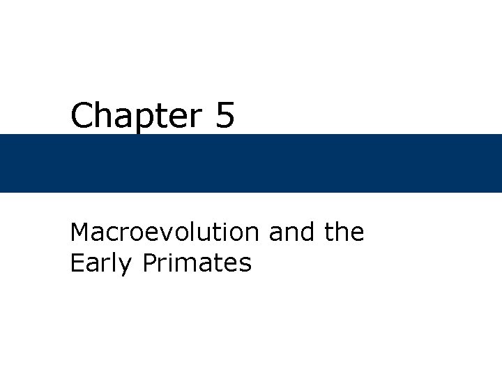Chapter 5 Macroevolution and the Early Primates 